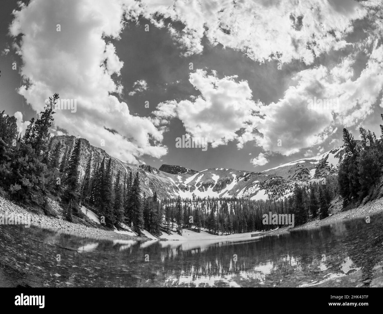 Stella Lake, Wheeler Peak, parc national de Great Basin à 10,000 mètres, après la fin de Wheeler Peak Scenic Drive, Nevada Banque D'Images
