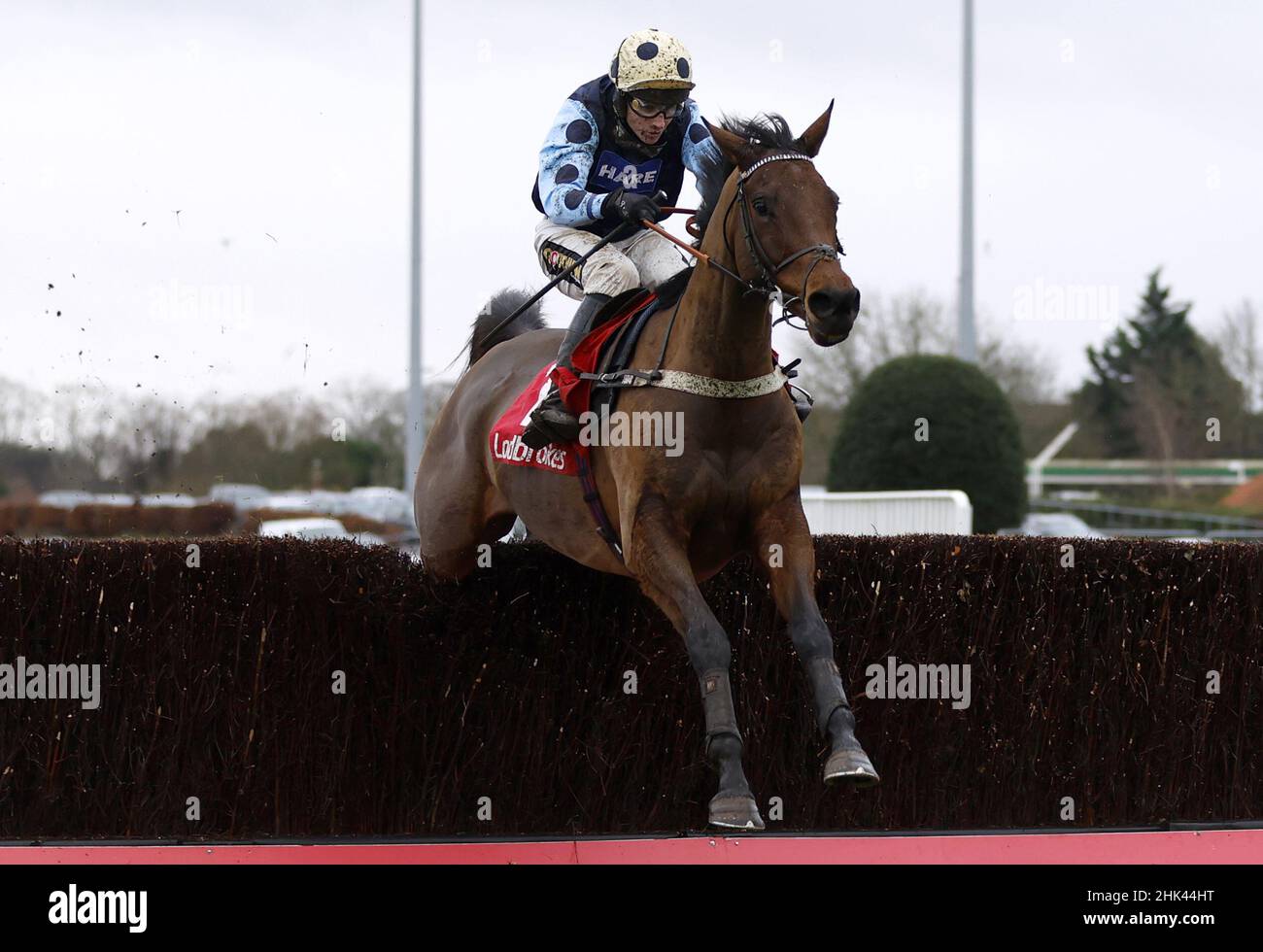 Photo du dossier datée du 27-12-2021 d'Edwardstone monté par le jockey Tom Cannon.Edwardstone, deuxième favori du Trophée du défi de la vie sportive, se rendrez à Warwick samedi semaine, alors que l'entraîneur Alan King s'inscrit dans la course au Cheltenham Festival.Date de publication : le mercredi 2 février 2022. Banque D'Images