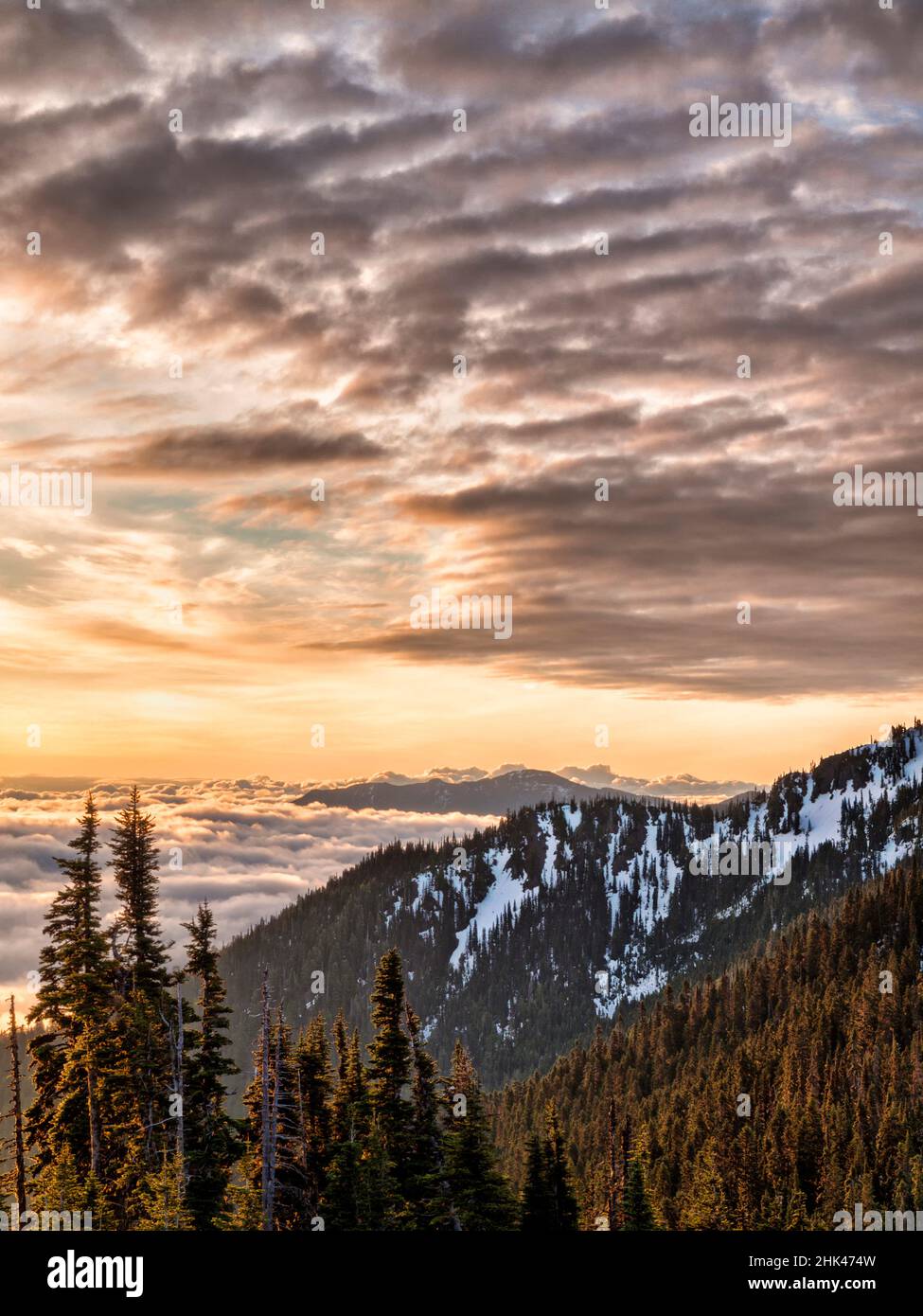 États-Unis, Washington, Parc national olympique, vue vers le nord-est depuis la route jusqu'à Hurricane Ridge Banque D'Images