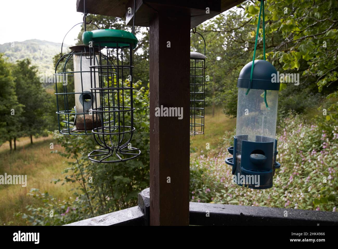 mangeoires d'oiseaux vides surplombant la campagne lake district, cumbria, angleterre, royaume-uni Banque D'Images