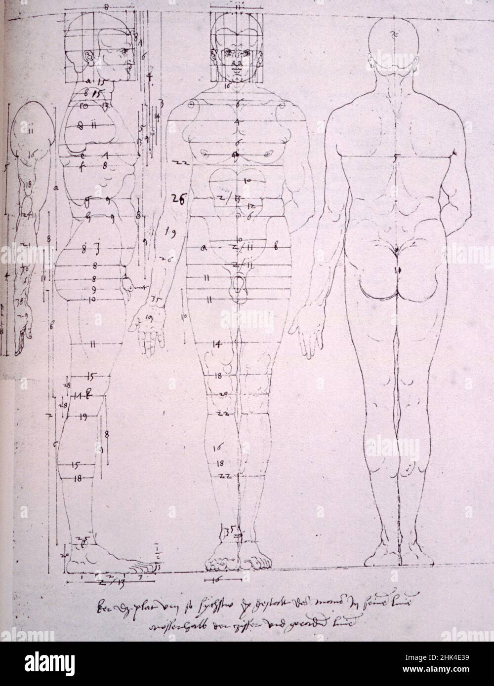 Figure de la renaissance Banque de photographies et d’images à haute ...
