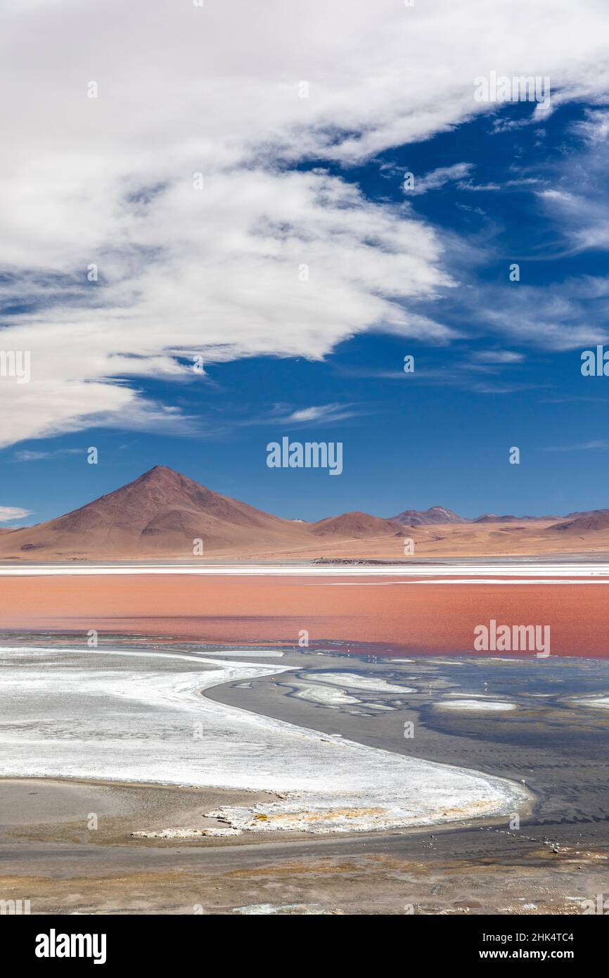 Un lac de sel endorheique dans l'altiplano, réserve nationale de faune andine Eduardo Avaroa, Bolivie, Amérique du Sud Banque D'Images