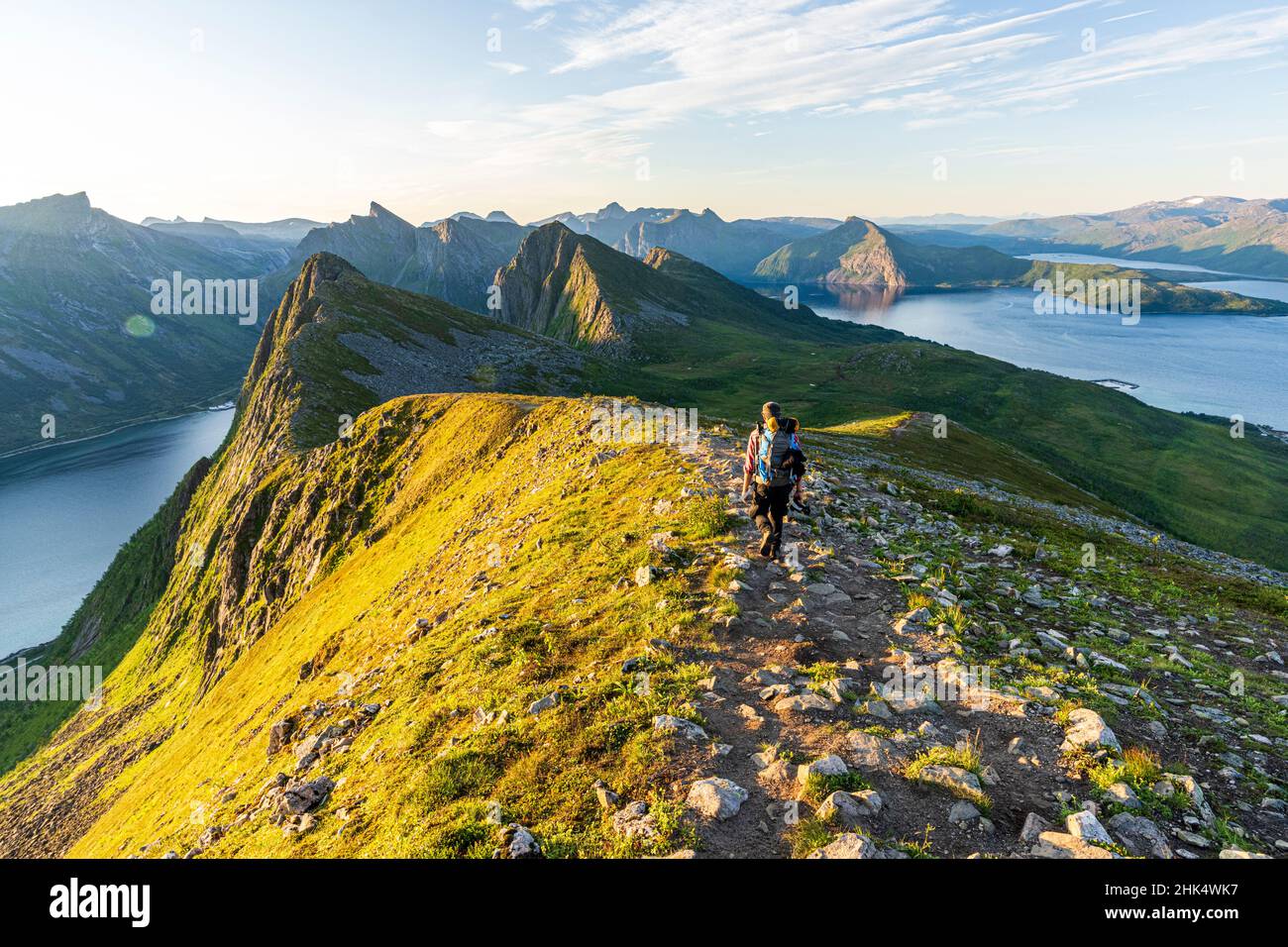 Vue arrière de l'homme marchant sur le chemin du pic de Husfjellet au lever du soleil, île de Senja, comté de Troms, Norvège, Scandinavie,Europe Banque D'Images