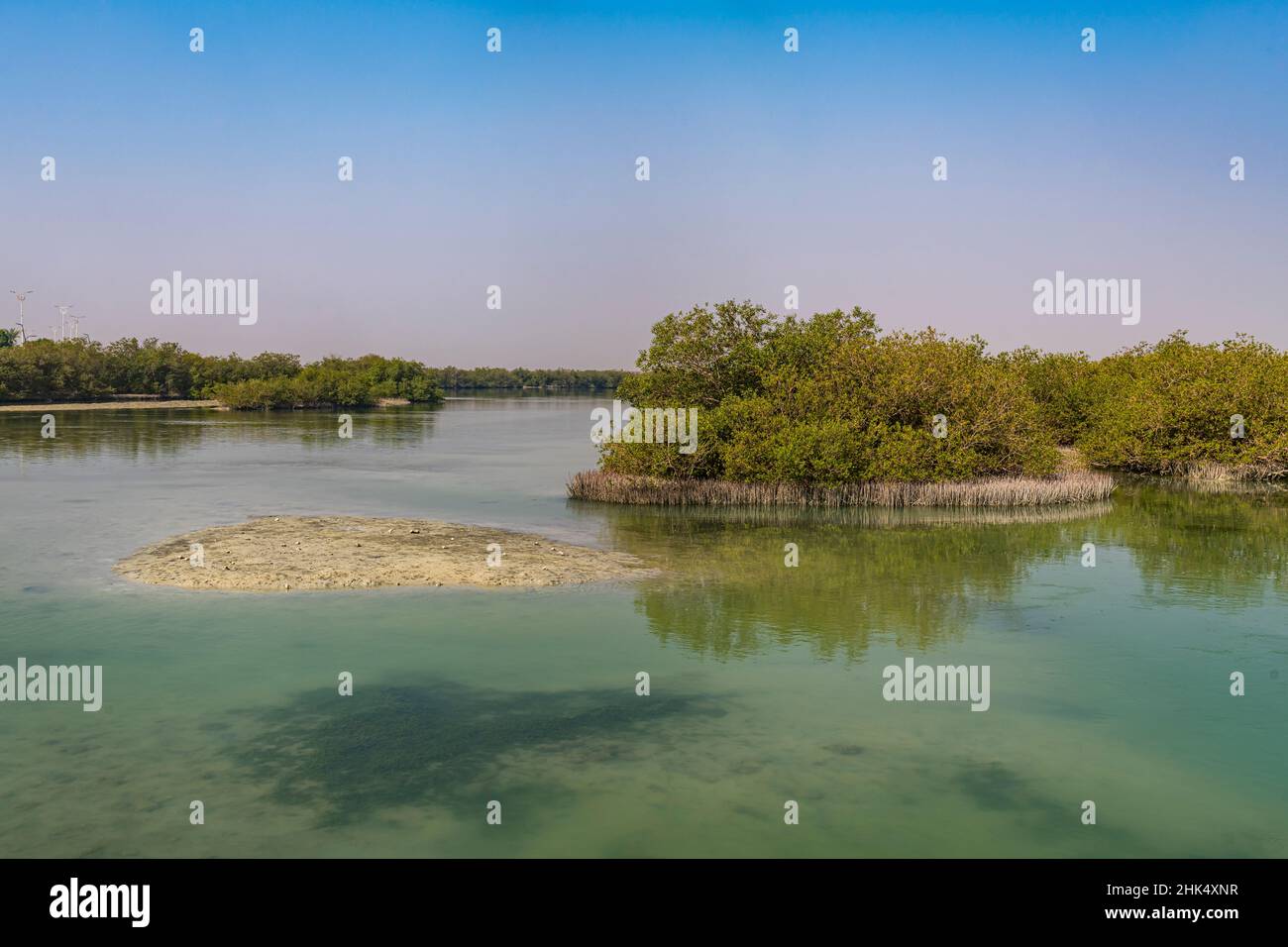 Mangroves, îles Farasan, Royaume d'Arabie saoudite, Moyen-Orient Banque D'Images