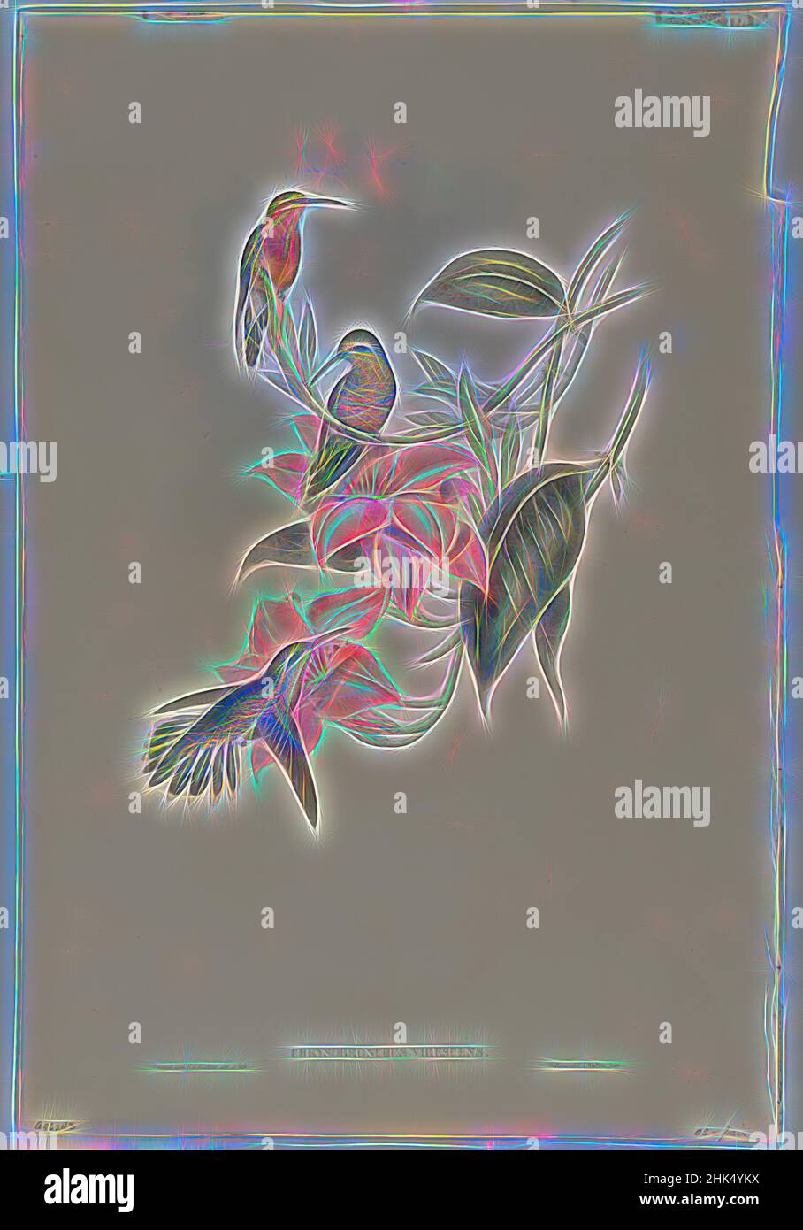 Inspiré par Chrysobronchus Viresceus, John Gould, britannique, 1804-1881, lithographie en couleur sur papier vélin, 21 1/2 x 14 3/8 po, 54,6 x 36,5 cm, réimaginé par Artotop. L'art classique réinventé avec une touche moderne. Conception de lumière chaleureuse et gaie, de luminosité et de rayonnement de lumière. La photographie s'inspire du surréalisme et du futurisme, embrassant l'énergie dynamique de la technologie moderne, du mouvement, de la vitesse et révolutionne la culture Banque D'Images