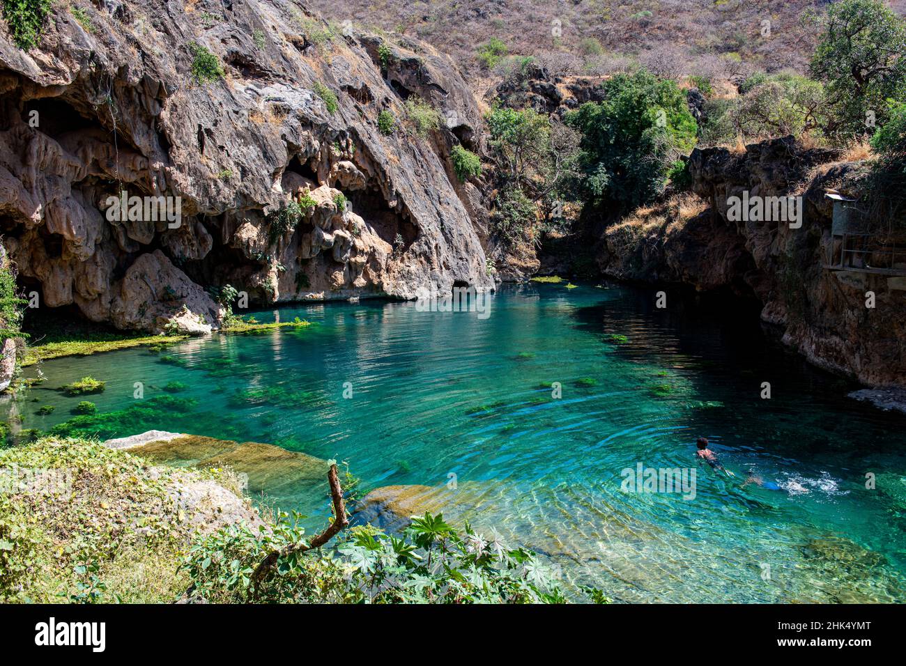 Piscines d'eau turquoise, Ain Sahlounge, Salalah, Oman, Moyen-Orient Banque D'Images