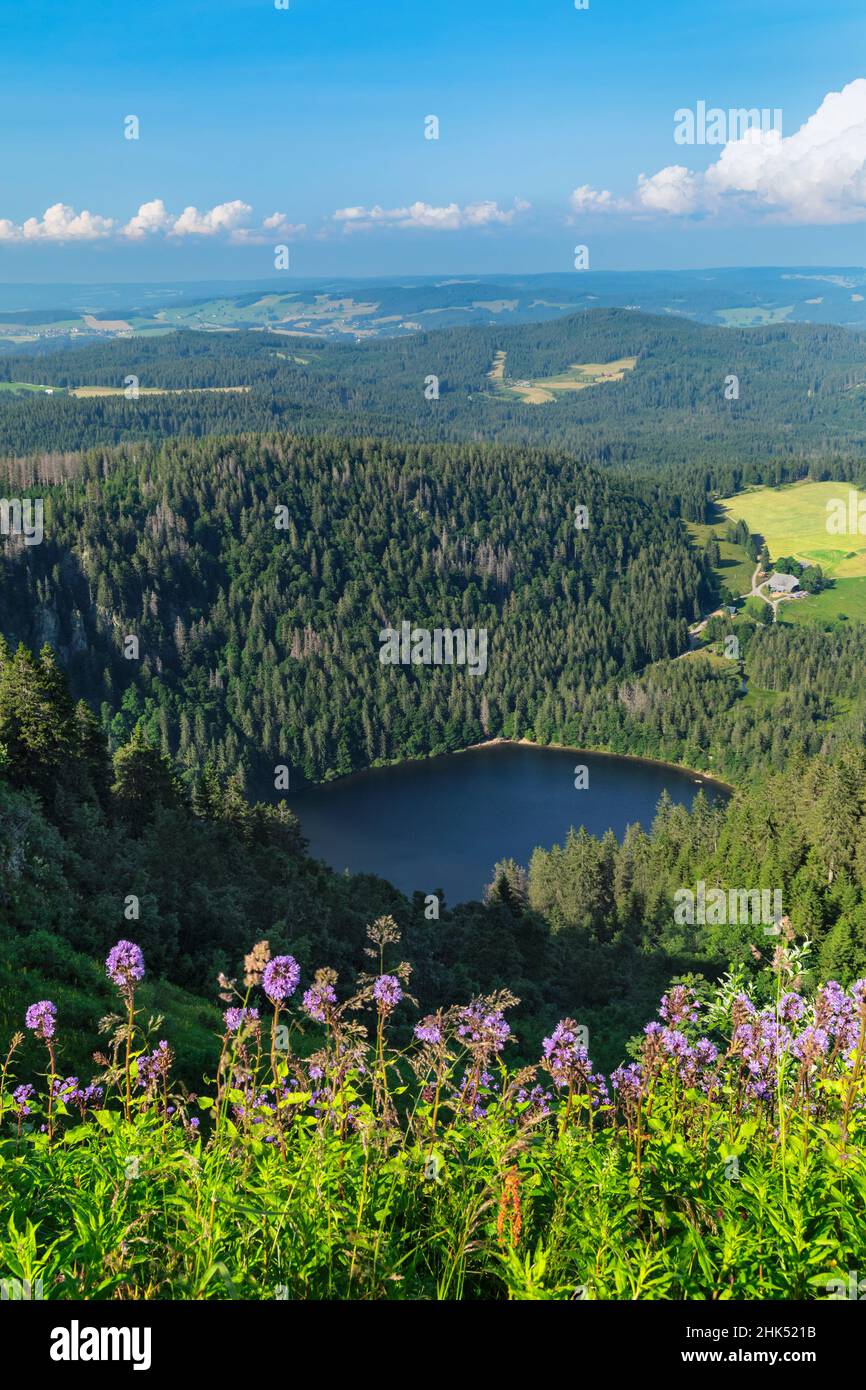 Vue depuis le sommet de Seebuck à Feldberg Mountain sur le lac de Feldsee, Forêt Noire, Bade-Wurtemberg, Allemagne, Europe Banque D'Images