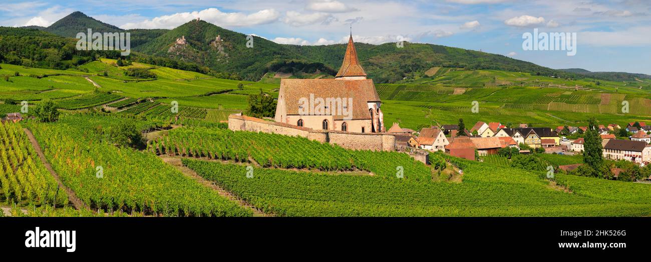 Église fortifiée de Saint Jacques, Hunawihr, Alsace, route des vins alsaciens, Haut-Rhin,France, Europe Banque D'Images