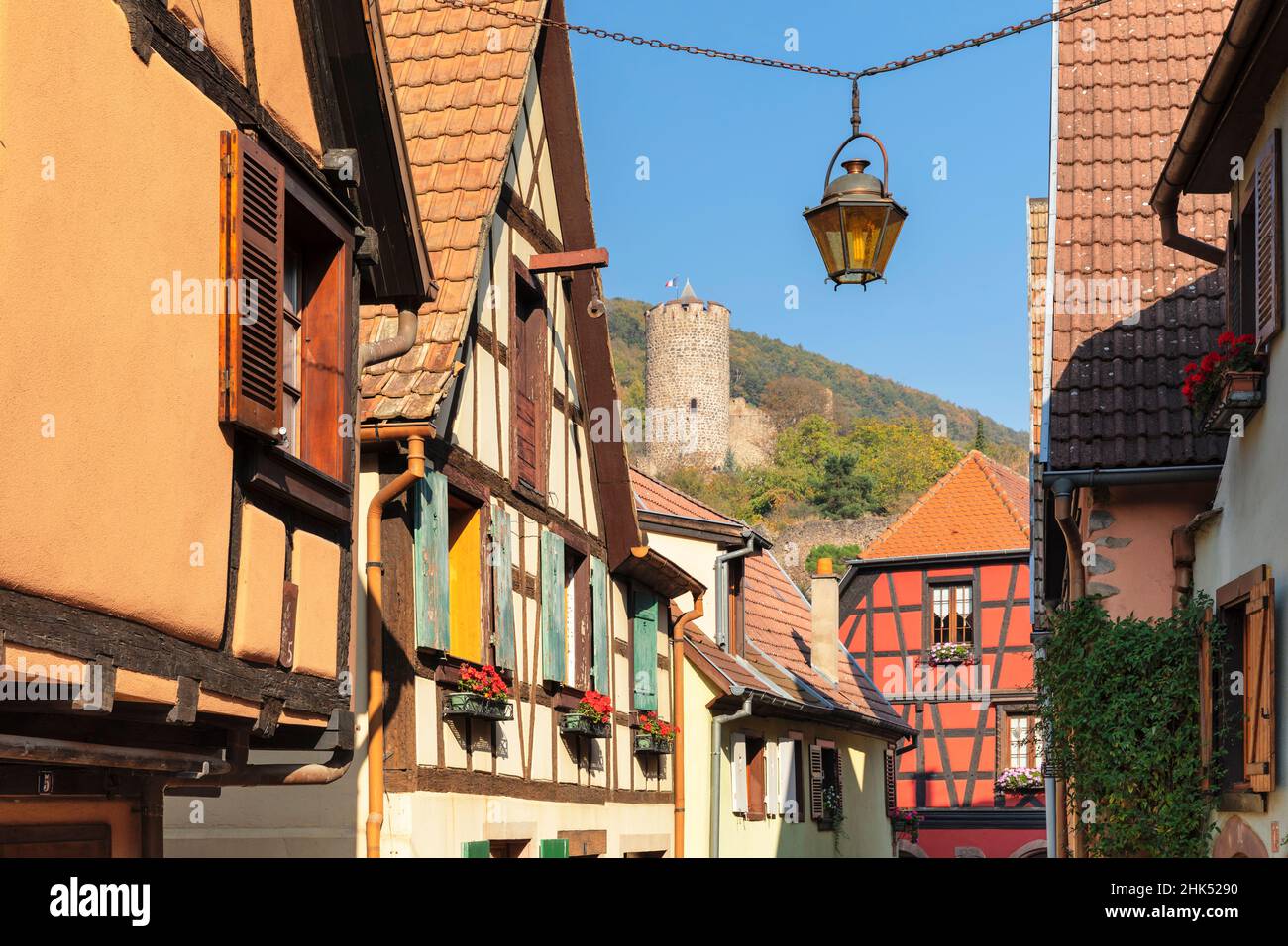 Maisons à colombages et château, Kaysersberg, Alsace, route des vins alsaciens, Haut-Rhin,France, Europe Banque D'Images