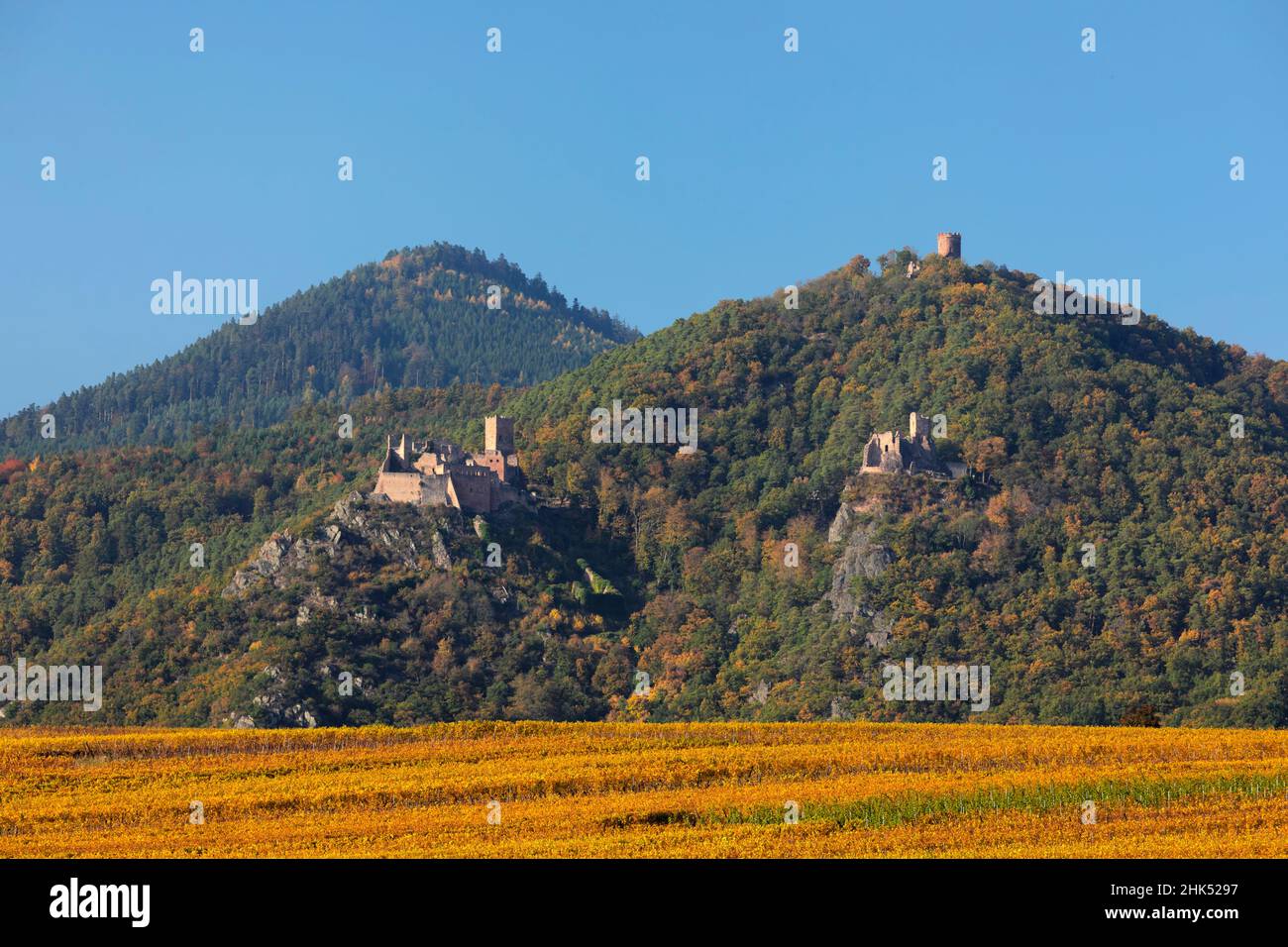 Château de Girsberg, Château du Haut Ribeaupierre et Château de Saint-Ulrich, Ribeauville, Alsace, Haut-Rhin, France,Europe Banque D'Images