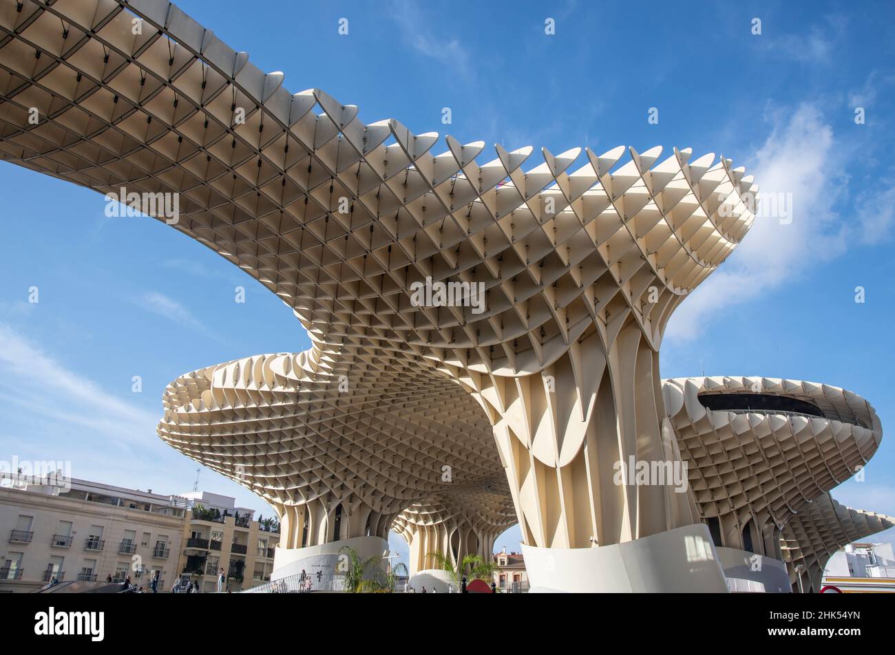 Le Metropol parasol (Las Setas de Sevilla) à Séville, Andalousie, Espagne, Europe Banque D'Images