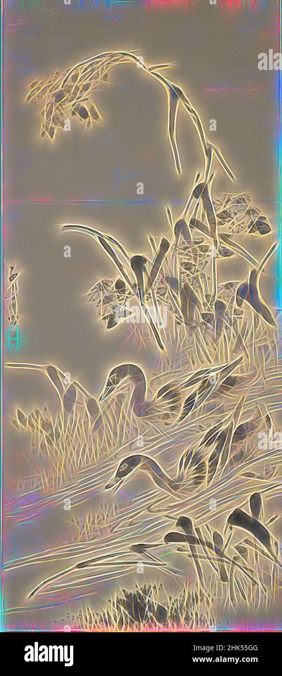 Inspiré par les oies sauvages et les roseaux, HSI-Yuan Fang, rouleau suspendu, encre sur papier, Chine, 18th Century, dynastie Qing, dynastie Qing, 69 1/2 x 22 1/2 po., 176,5 x 57,2 cm, fleur, oie, rouleau, réimaginé par Artotop. L'art classique réinventé avec une touche moderne. Conception de lumière chaleureuse et gaie, de luminosité et de rayonnement de lumière. La photographie s'inspire du surréalisme et du futurisme, embrassant l'énergie dynamique de la technologie moderne, du mouvement, de la vitesse et révolutionne la culture Banque D'Images