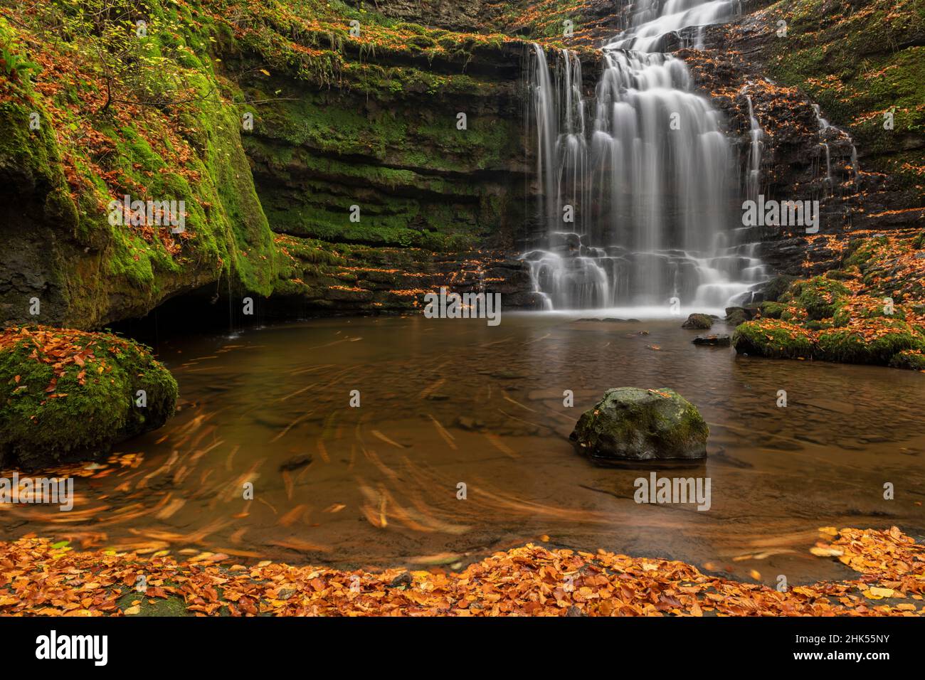 Cascade de Scaleber Force dans le parc national de Yorkshire Dales, North Yorkshire, Angleterre, Royaume-Uni, Europe Banque D'Images