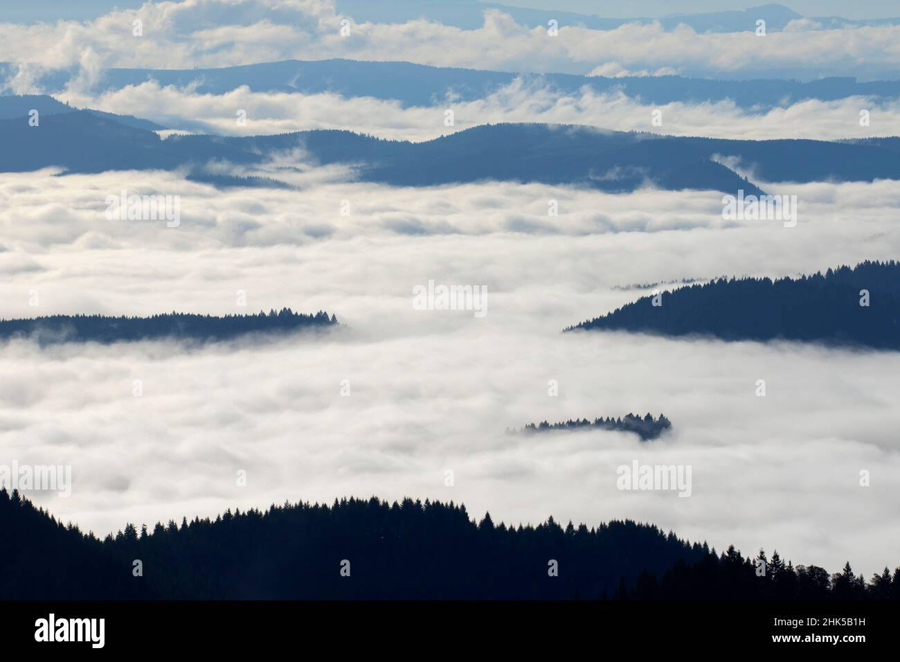 Brouillard de la vallée provenant du sentier Horse Rock Ridge Trail, de la zone naturelle de recherche Horse Rock Ridge, du bureau de gestion des terres du district d'Eugene, Oregon Banque D'Images