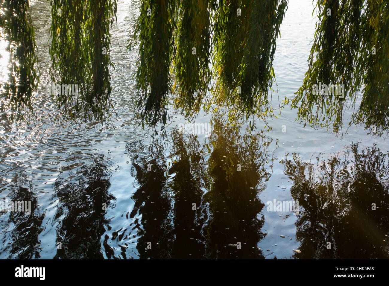 Le quai de Saint Helen est un point de beauté réputé sur la Tamise, juste en amont du pont médiéval d'Abingdon-on-Thames.Ici, nous voyons des réflexions de Banque D'Images