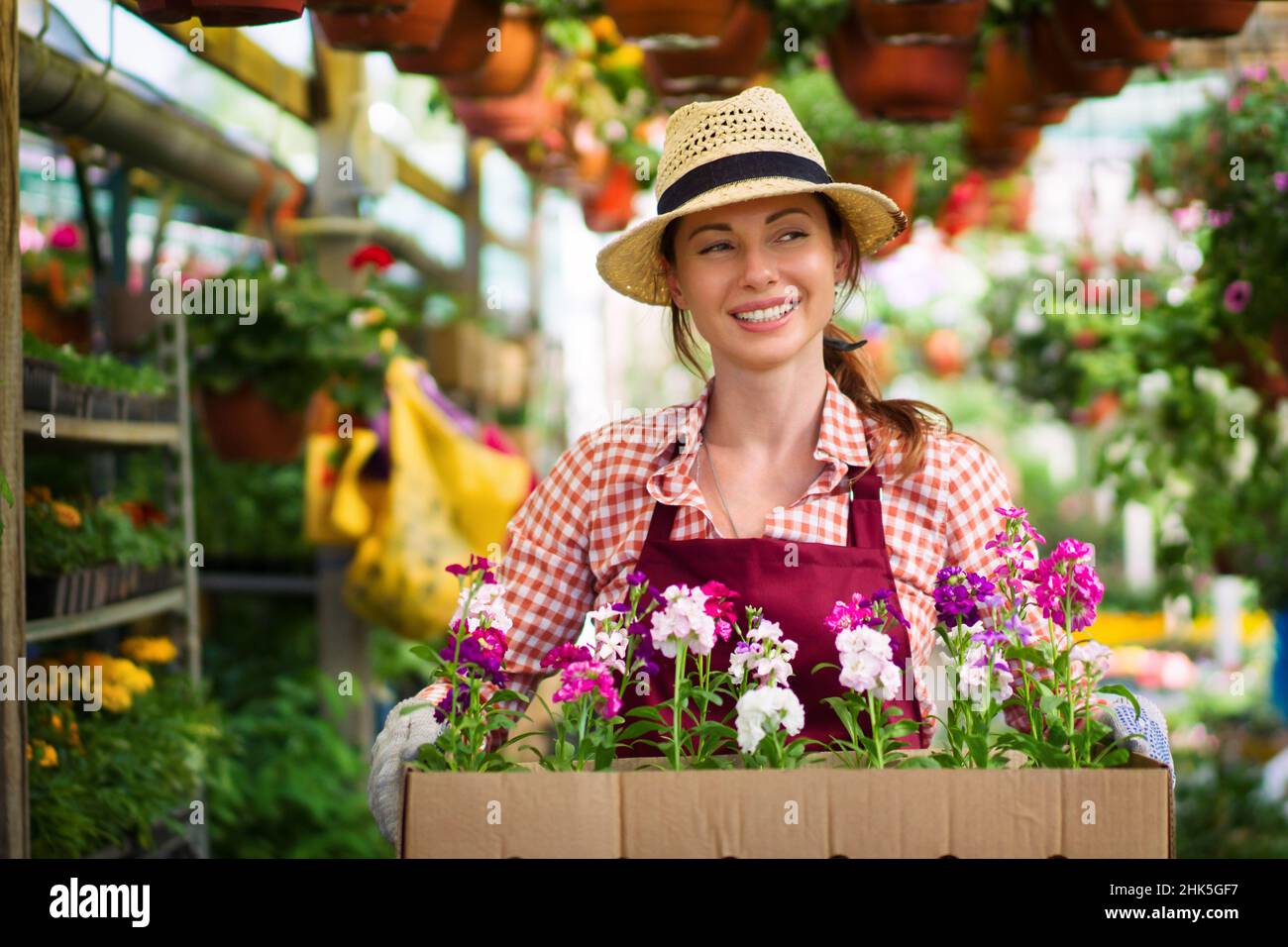Jeune fleuriste souriante organisant des plantes dans un fleuriste. Le passe-temps est devenu une petite entreprise. Banque D'Images