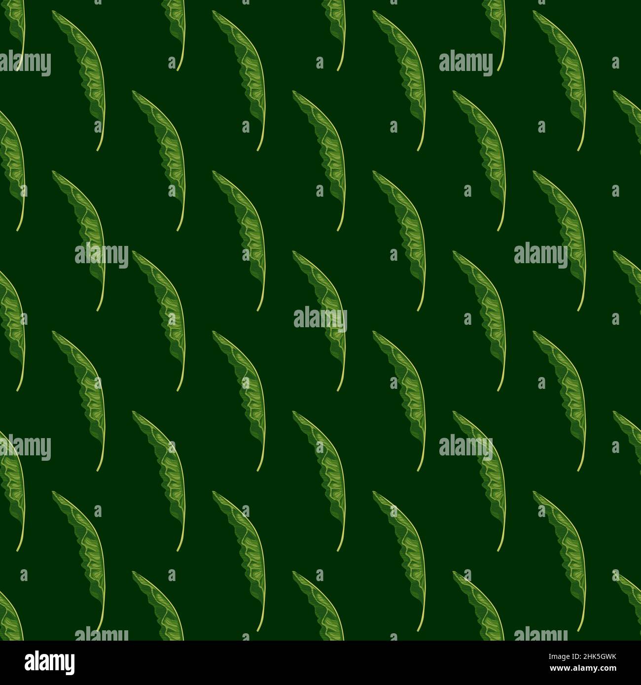 Couleurs vertes motif sans couture avec formes de feuillage de palmier tropical.Décoration de verdure.Imprimé vectoriel plat pour le textile, le tissu, le papier peint et le papier cadeau.Endle Illustration de Vecteur