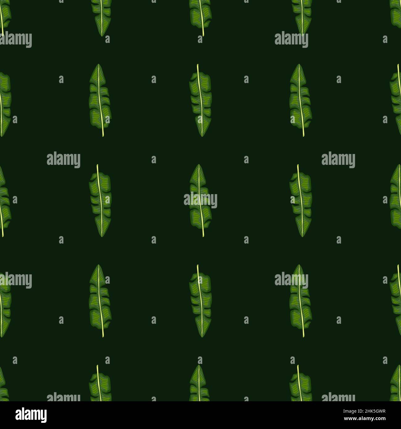 Motif de caniche sans couture minimaliste avec imprimé feuilles de palmier vertes.Arrière-plan noir.Décoration nature.Motif graphique pour le papier d'emballage et le tissu tex Illustration de Vecteur