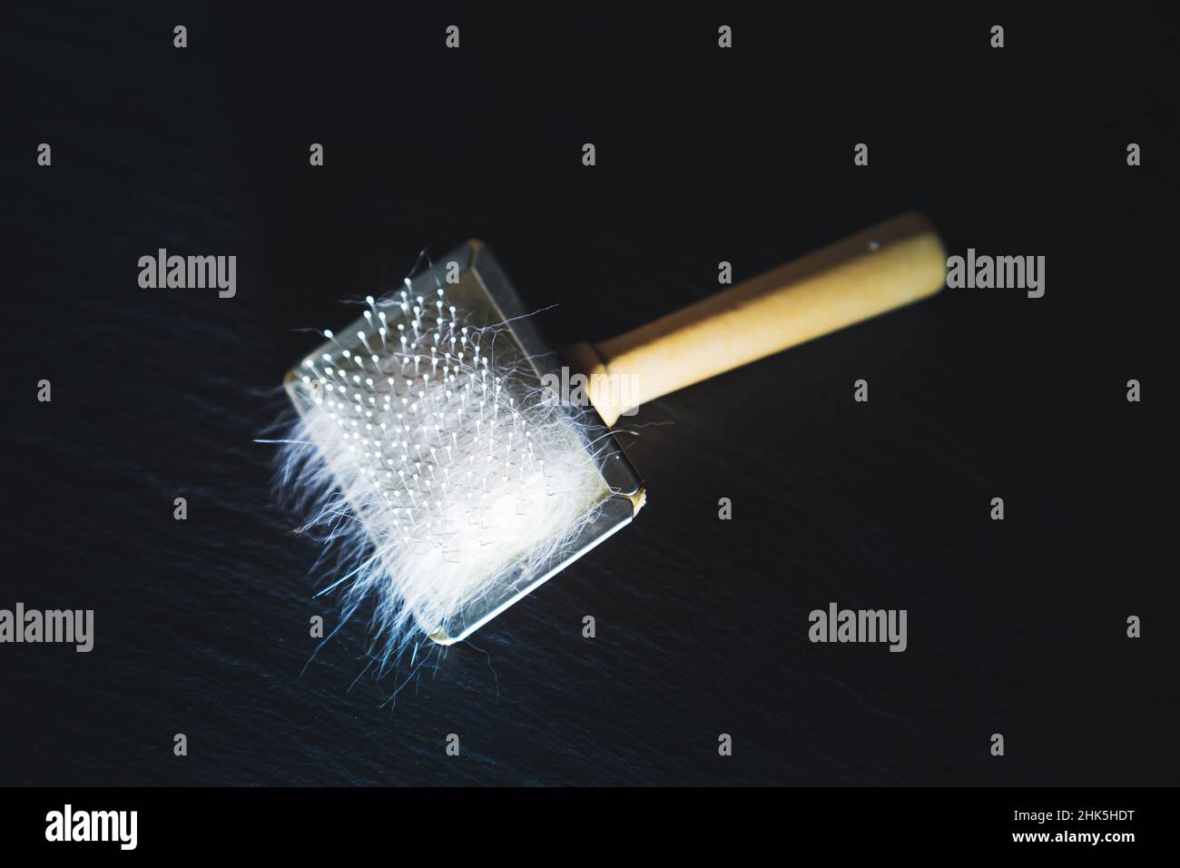 Peigne pour chats avec un tas de cheveux de chat.Brosse de soin des cheveux à poils métalliques.Arrière-plan noir, mise au point sélective. Banque D'Images