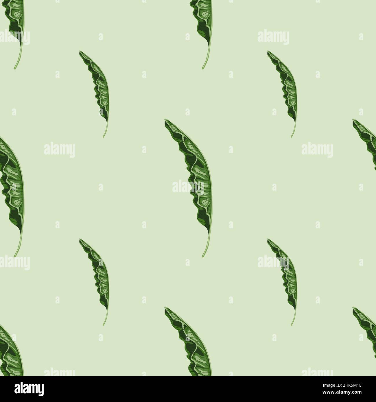 Motif minimaliste sans coutures avec décoration à motif feuillage de palmier vert.Arrière-plan gris.Toile de fond nature.Imprimé vectoriel plat pour textile, tissu, giftwra Illustration de Vecteur