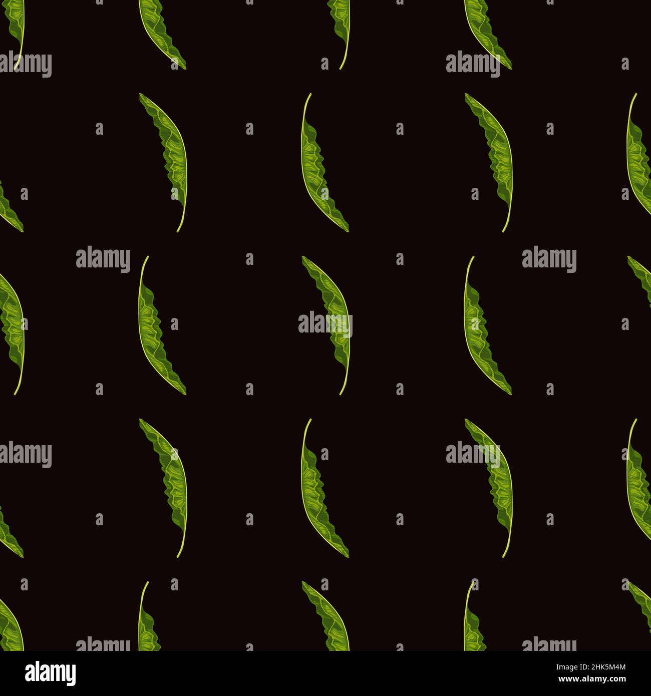 Motif décoratif sans couture avec formes de feuillage de palmier vert dessinées à la main.Fond de jungle botanique.Illustration sans fin.Imprimé vectoriel pour matières textiles, tissus, Illustration de Vecteur