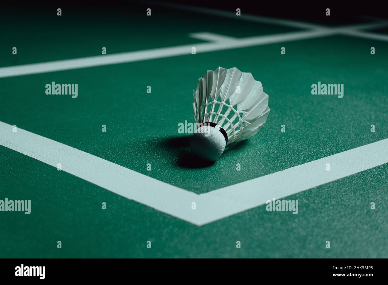 raquettes et coqs de badminton sur le terrain de badminton Banque D'Images