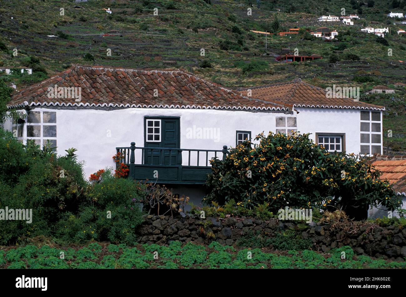 Finca près de Mazo, îles Canaries, la Palma, Espagne, Europe Banque D'Images