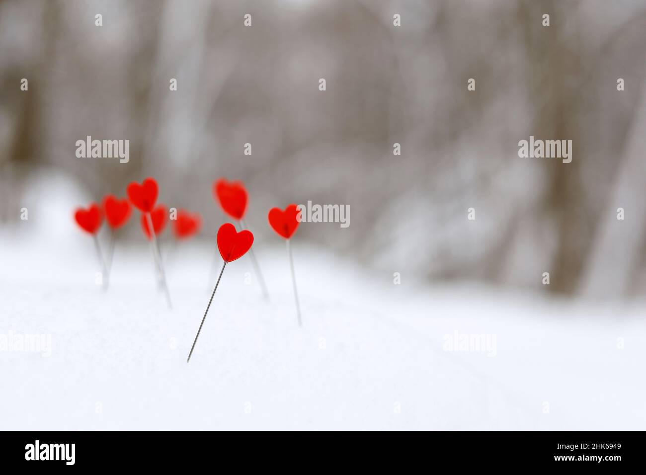 J'adore les coeurs sur une pente de neige sur fond de forêt d'hiver.Carte de vœux, Saint-Valentin romantique Banque D'Images