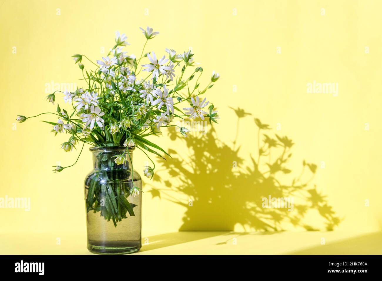 Bouquet de fleurs sauvages dans un vase sur fond jaune pastel. Banque D'Images