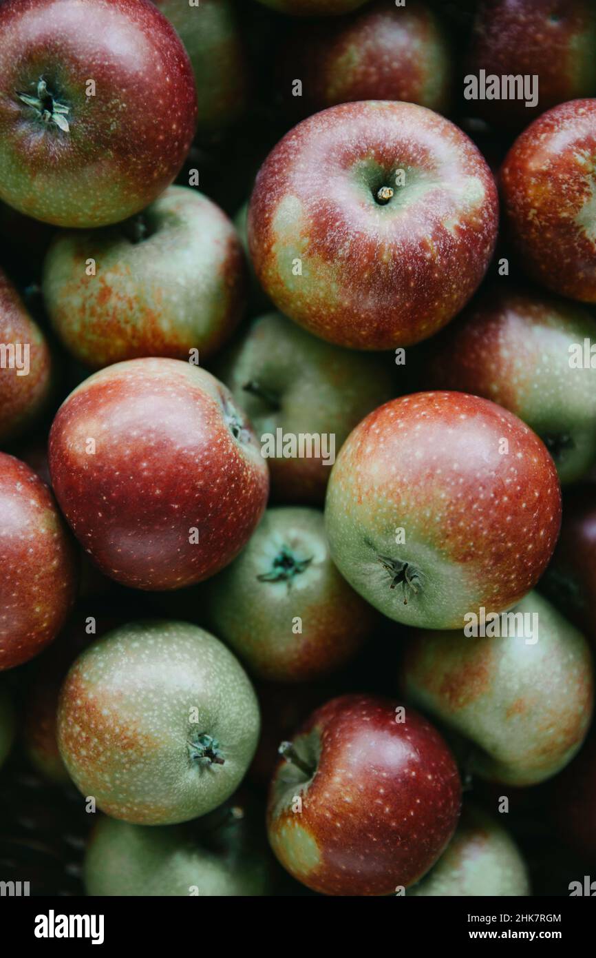 Gros plan des pommes Ingrid Marie Banque D'Images
