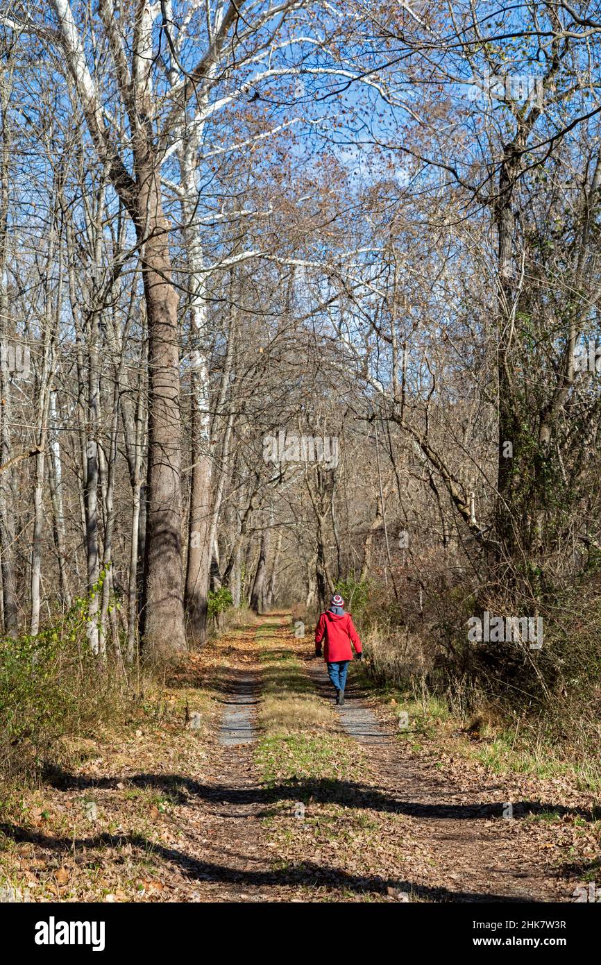 Little Orleans, Maryland - Une femme marche le long de la hachée dans le parc historique national de Chesapeake et Ohio Canal.Le canal a fonctionné de 1831 à 192 Banque D'Images