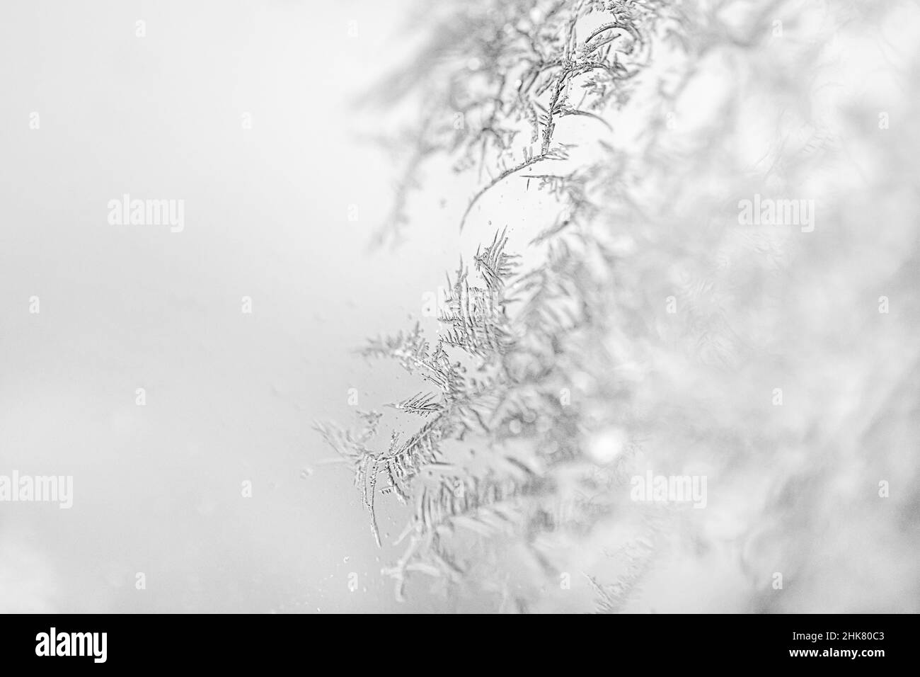 Cristaux de glace givre - l'eau gelée forme des motifs en filigrane dans les flocons de glace d'hiver - cristal de congélation - structure par temps froid Banque D'Images