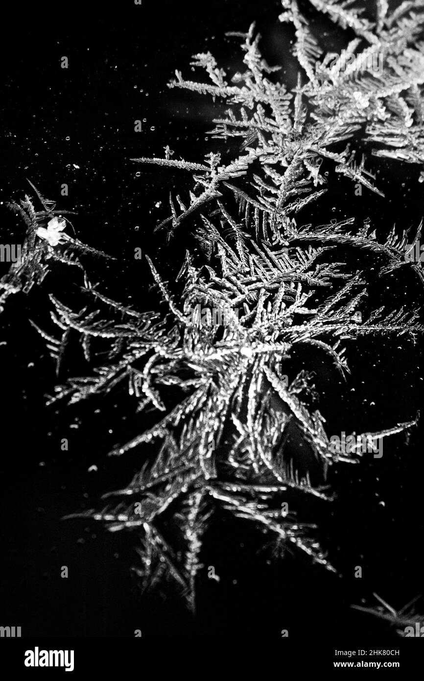 Cristaux de glace givre - l'eau gelée forme des motifs en filigrane dans les flocons de glace d'hiver - cristal de congélation - structure par temps froid Banque D'Images