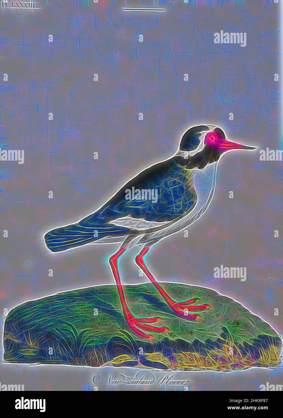 Inspiré par le Pluvier néo-zélandais (Shore). Plaque LXXXIII. De l'Histoire générale des oiseaux, John Latham, 1821-1828, Angleterre, gravure, Repensé par Artotop. L'art classique réinventé avec une touche moderne. Conception de lumière chaleureuse et gaie, de luminosité et de rayonnement de lumière. La photographie s'inspire du surréalisme et du futurisme, embrassant l'énergie dynamique de la technologie moderne, du mouvement, de la vitesse et révolutionne la culture Banque D'Images