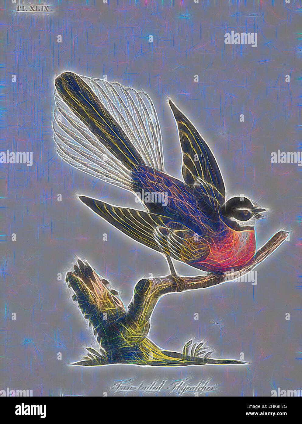 Inspiré par le flycatcher à queue de Fantoy. Plaque XLIX. D'Un résumé général des oiseaux, John Latham, 1783, Angleterre, gravure, Repensé par Artotop. L'art classique réinventé avec une touche moderne. Conception de lumière chaleureuse et gaie, de luminosité et de rayonnement de lumière. La photographie s'inspire du surréalisme et du futurisme, embrassant l'énergie dynamique de la technologie moderne, du mouvement, de la vitesse et révolutionne la culture Banque D'Images