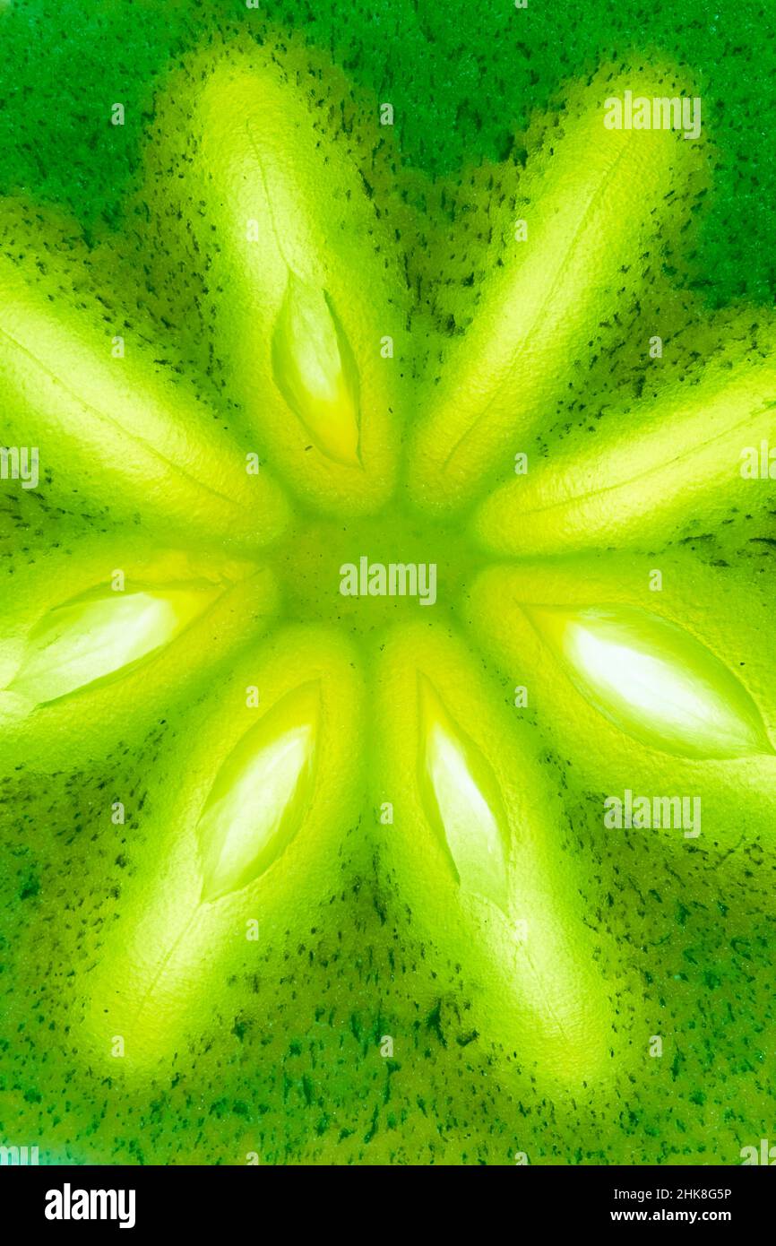 Un gros plan d'un persimmon frais peint en vert avec un noyau brillant.Profondeur de champ complète.Lumière vive au milieu des fruits.Photo de haute qualité Banque D'Images Un gros plan d'un persimmon frais peint en vert avec un noyau brillant.Profondeur de champ complète.Lumière vive au milieu des fruits.Photo de haute qualité Banque D'Images