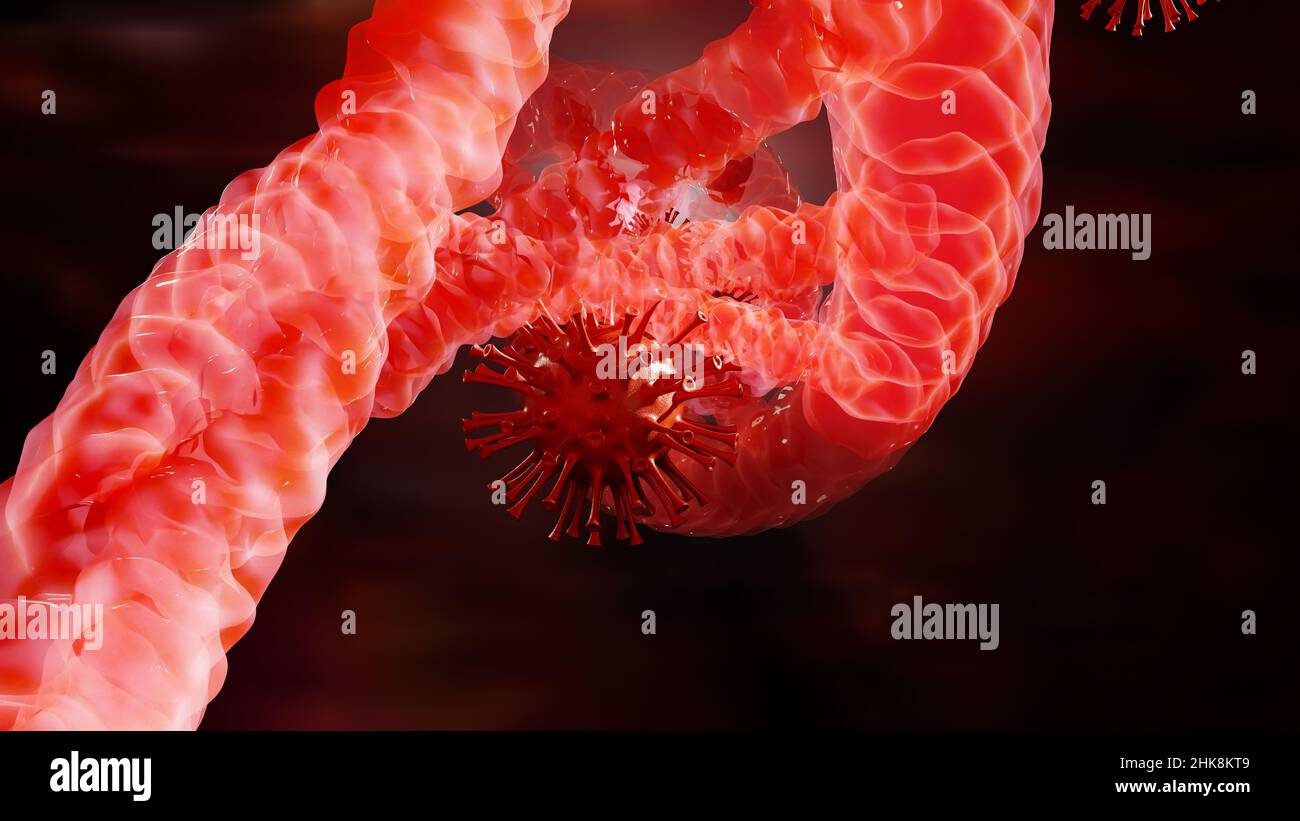 Coronavirus attaquant l'ADN sanguin, virus de l'infection corona de la fumée covid-19 Banque D'Images