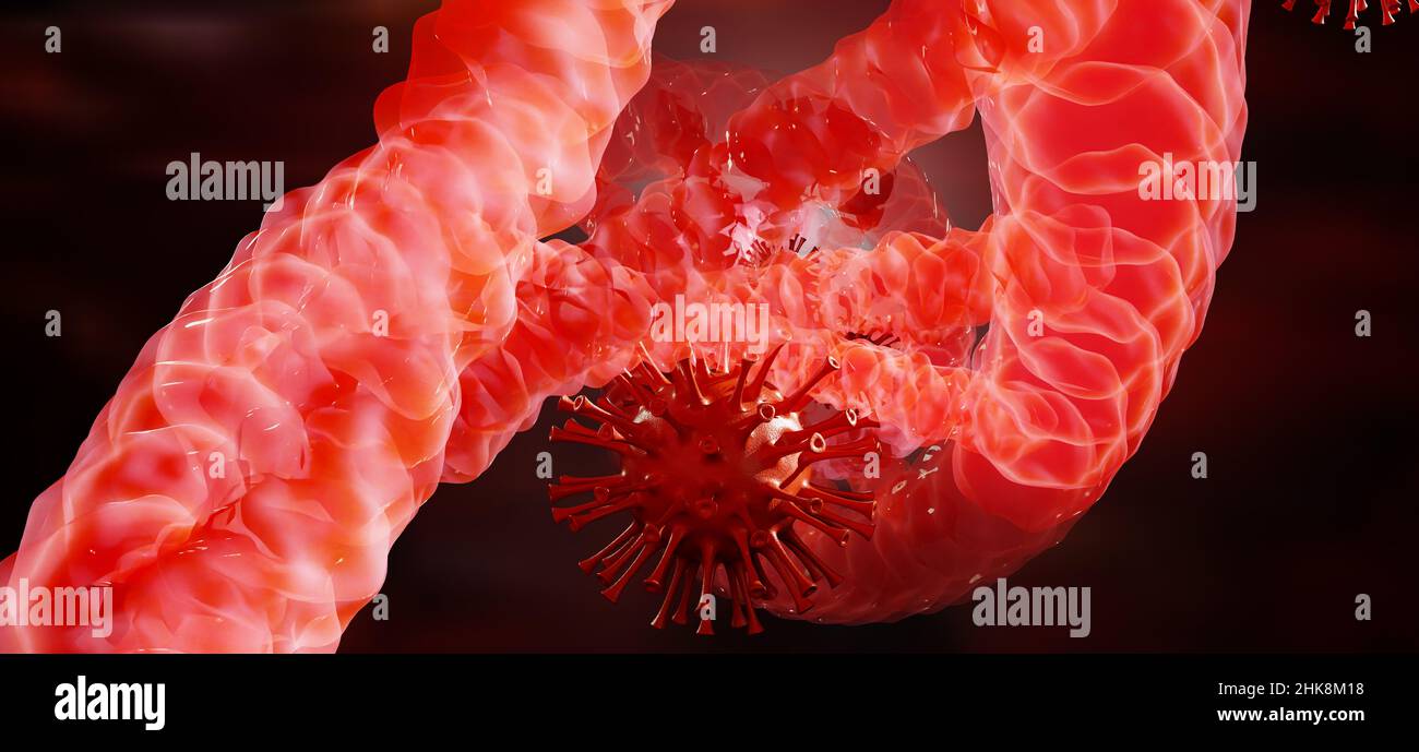 coronavirus Banque D'Images