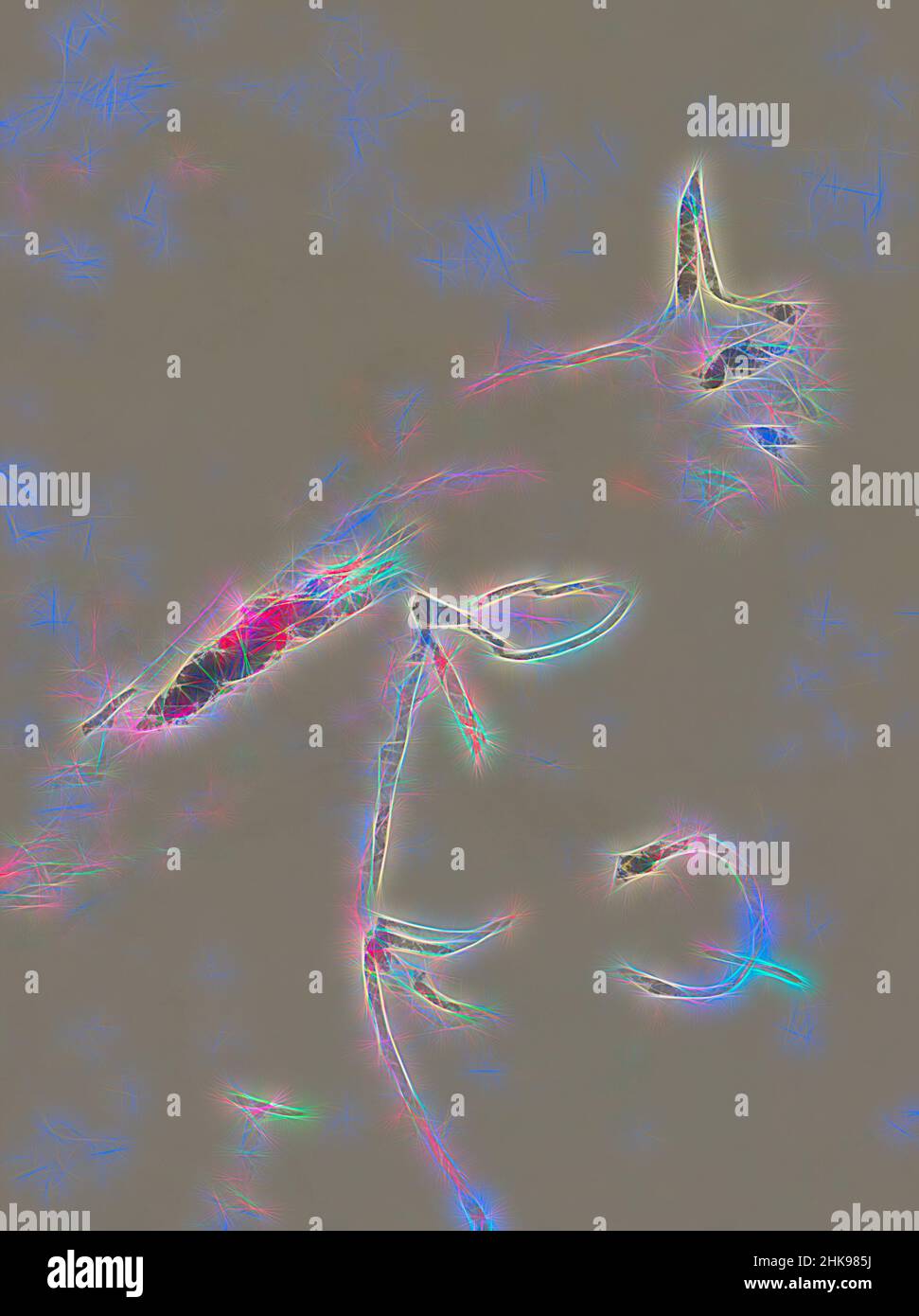 Inspiré par Bird, sur une branche, repensé par Artotop. L'art classique réinventé avec une touche moderne. Conception de lumière chaleureuse et gaie, de luminosité et de rayonnement de lumière. La photographie s'inspire du surréalisme et du futurisme, embrassant l'énergie dynamique de la technologie moderne, du mouvement, de la vitesse et révolutionne la culture Banque D'Images