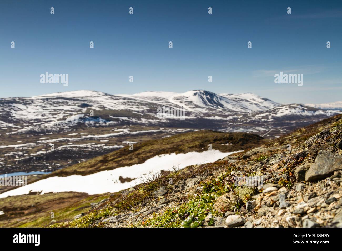 Paysage de printemps dans le Dovrefjell, Norvège, avec des rochers, des collines, des montagnes, et des couches de neige Banque D'Images