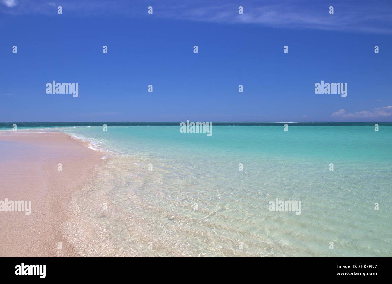 Nosy VE, une île de corail, un paradis pour les oiseaux et les amoureux de la nature. Il offre une superbe plage presque déserte et de magnifiques sébades qui raviront les plongeurs Banque D'Images