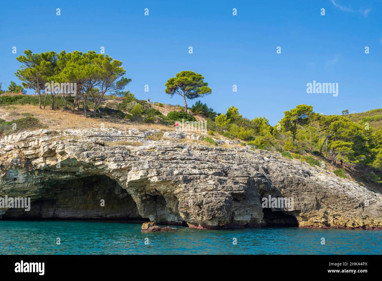 Parc national de Gargano, visite des grottes, Vieste, Pouilles, Italie, Europe Banque D'Images