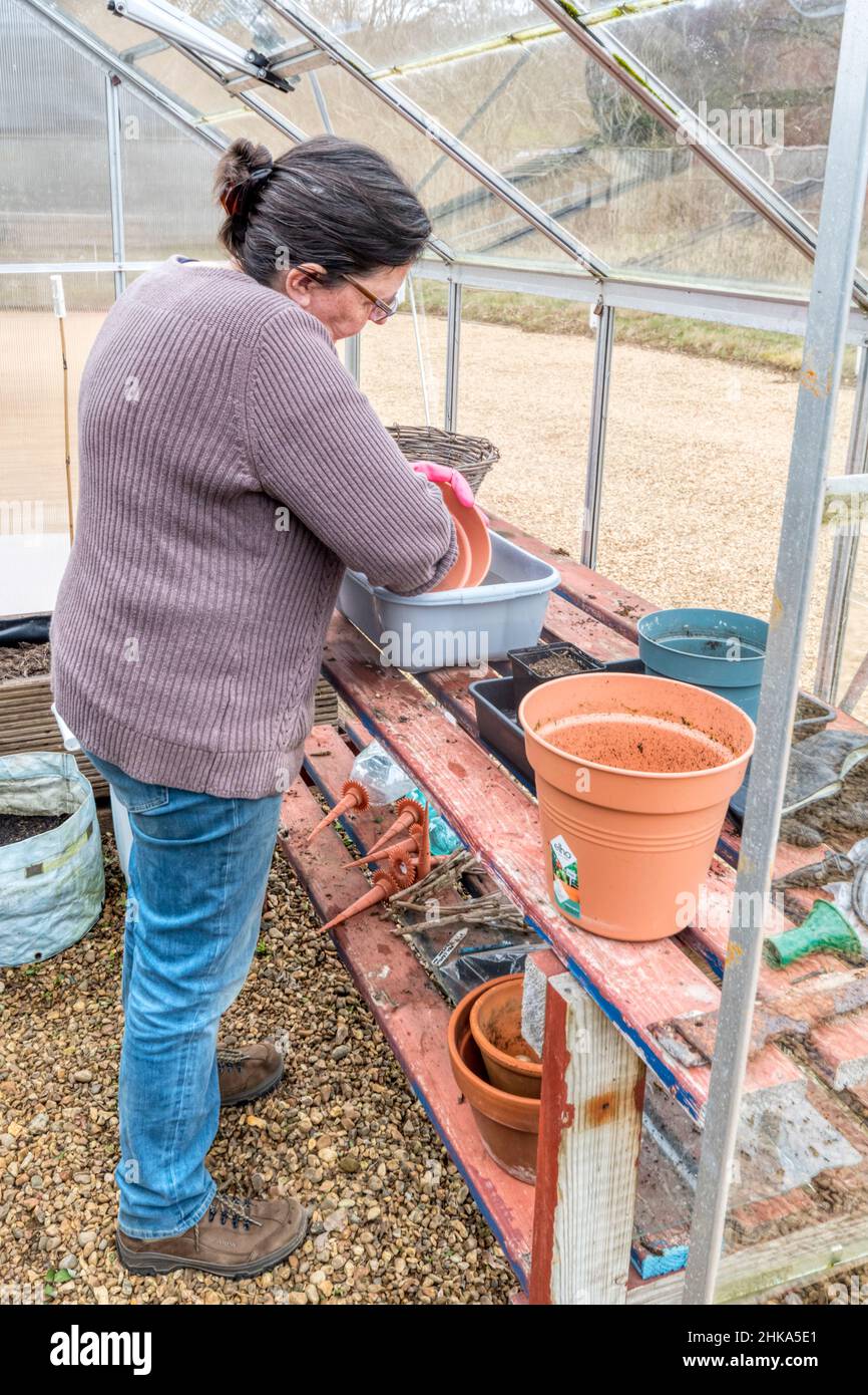 Femme dans ses pots de fleurs de nettoyage de serre prêts pour la nouvelle saison de croissance. Banque D'Images