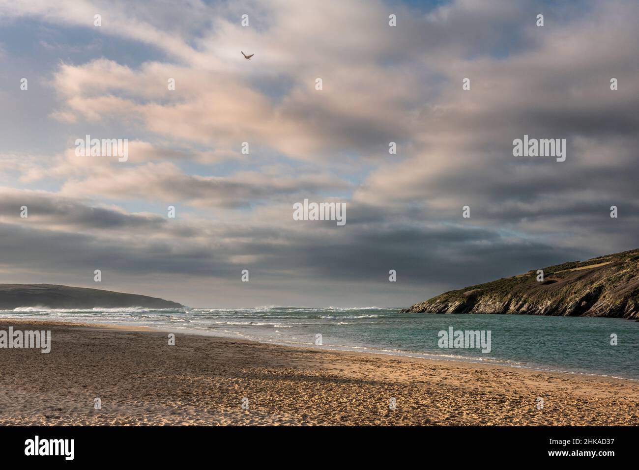 Lumière du soir et marée entrante sur la plage primée Crantock Beach à Newquay, en Cornouailles. Banque D'Images