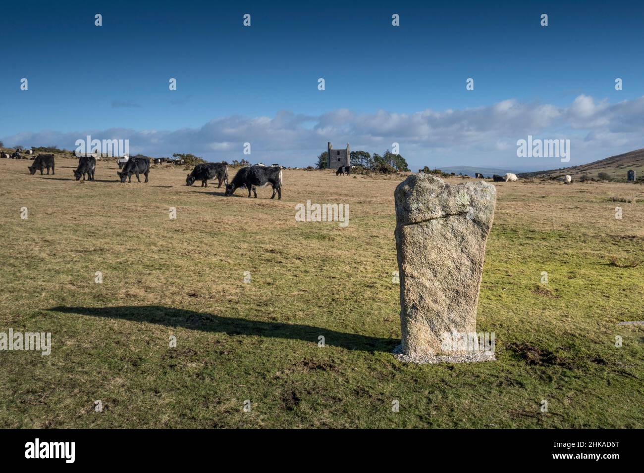 Lumière en fin d'après-midi sur une pierre des Hurlers datant du début du Néolithique, sur les Meion Downs, sur le robuste Bodmin Moor de Cornwall au Royaume-Uni. Banque D'Images