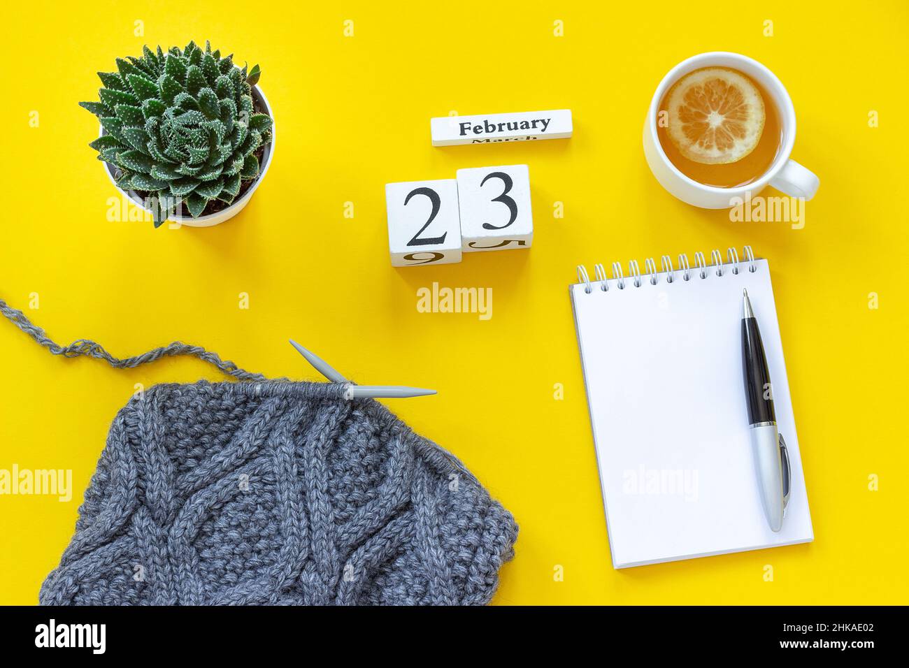 Cubes en bois calendrier février 23rd.Tasse de thé avec citron, vide ouvrir le bloc-notes pour le texte.Marmite avec succion et tissu sur les aiguilles à tricoter sur le jaune b. Banque D'Images