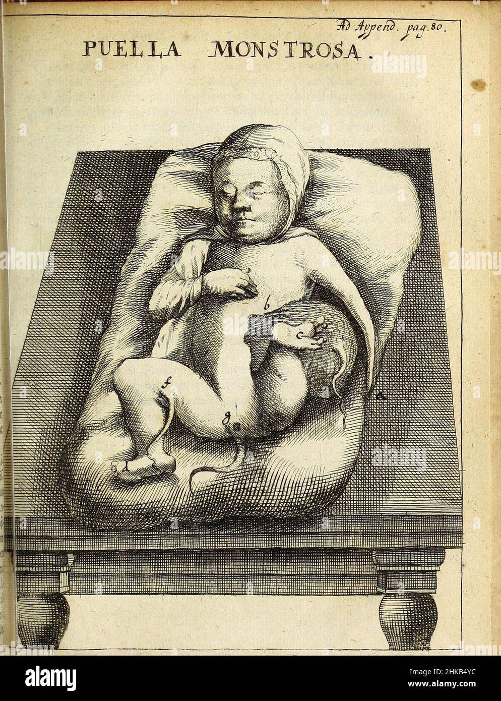 'Miscellanea Curiosa Medico-Physica Academiae Naturae Curiosorum' (1676) Banque D'Images