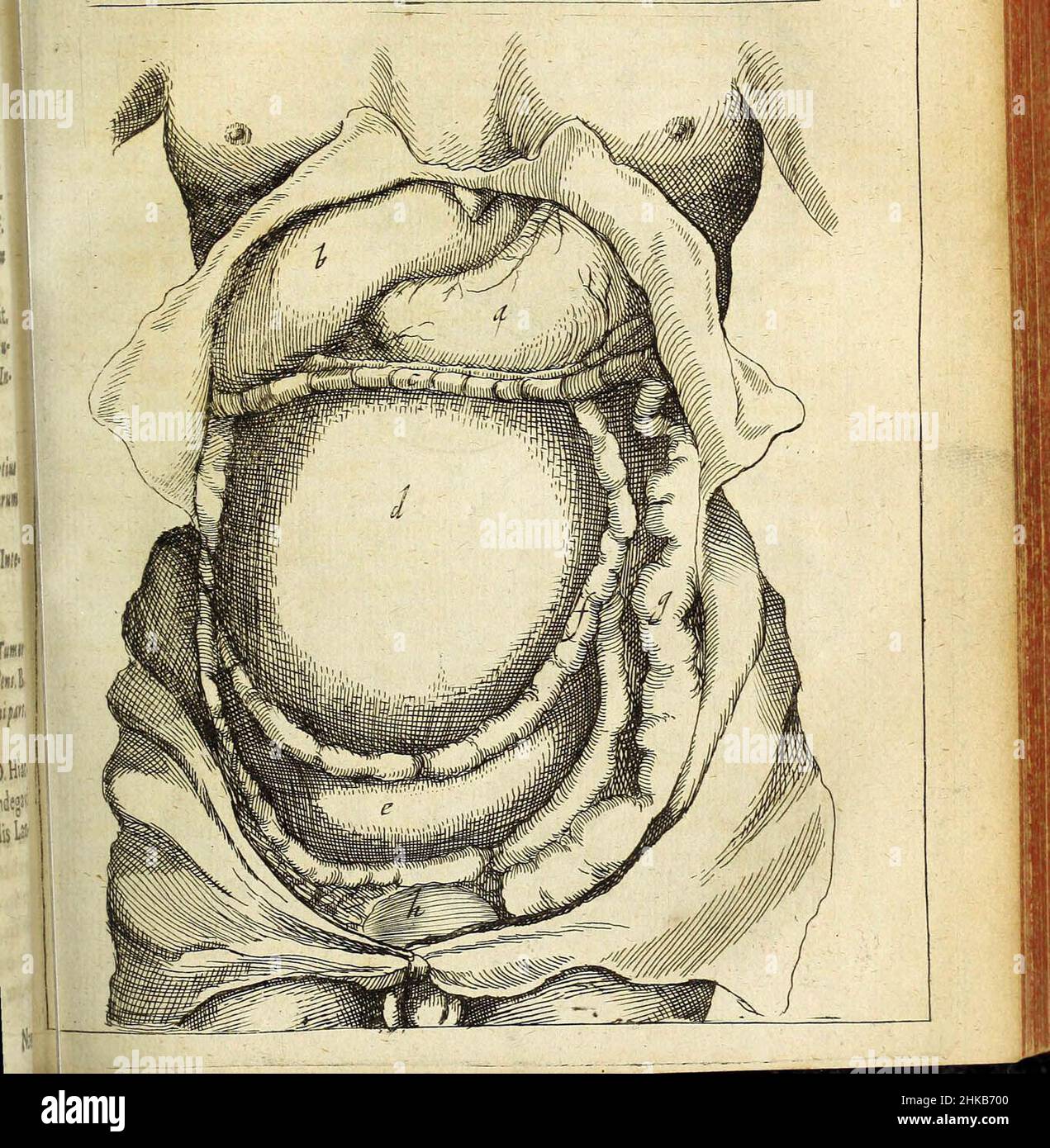 'Miscellanea Curiosa Medico-Physica Academiae Naturae Curiosorum' (1676) Banque D'Images