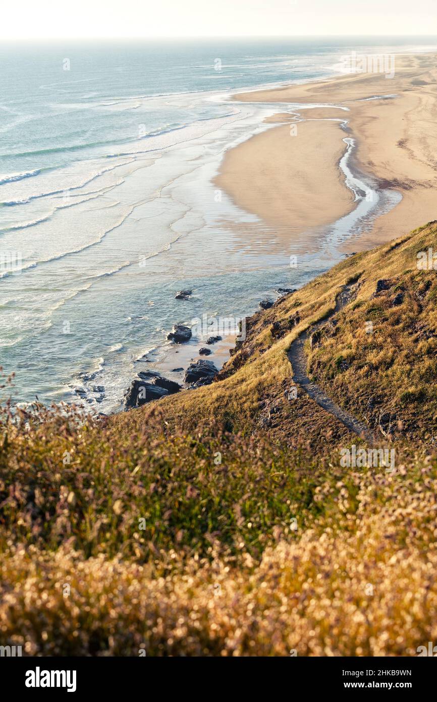 Littoral - sentier côtier au Cap de Carteret avec vue. Cotentin, Normandie Banque D'Images