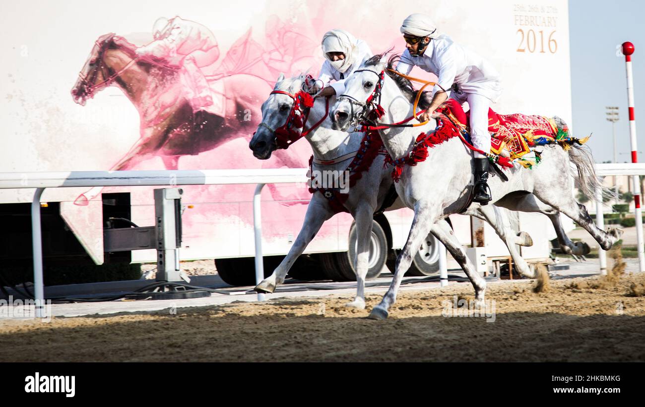 Doha, Qatar - 11 avril 2016 : Festival de course de chevaux de l'épée d'or du Qatar 2016 dans le parc de course Equestrian Club Al Rayyan. Banque D'Images